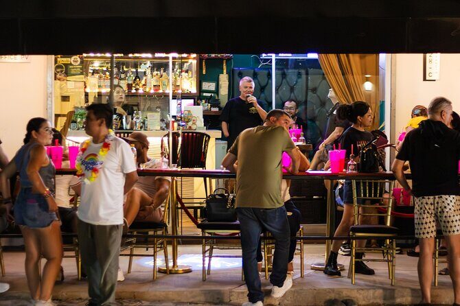 LGBTQ City Party Bus Tour - Who Is This Tour Best For?