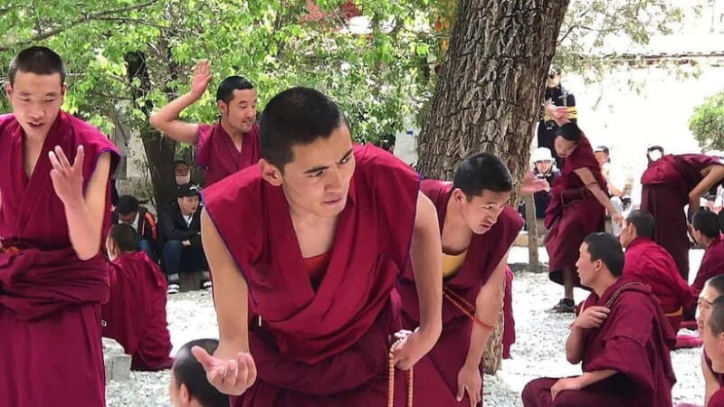 Lhasa: 4-Day Guided Tour with Monasteries and Palaces - Who Should Consider This Tour?