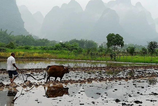 Li River Bamboo boat Cruise & Yangshuo Village private day tour - Final Thoughts