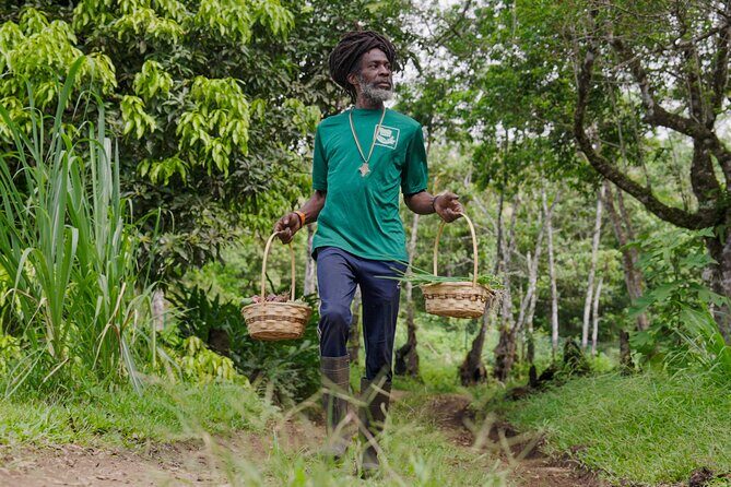 Liamuiga Natural Farm Tour - St.Kitts' Coffee Farm - Key Points