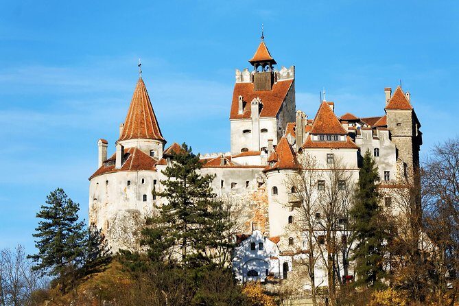 LiBEARty Brown Bear Sanctuary and The Real Dracula Tour - FAQs
