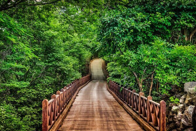 Liberia Airport Private Transfer To Gulf of Papagayo Costa Rica - Final Thoughts