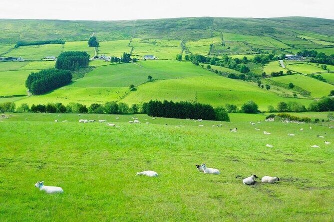 Liberty Irish Tours Dublin City & Wicklow Mountains Luxury Car Shore Excursion - Final Thoughts