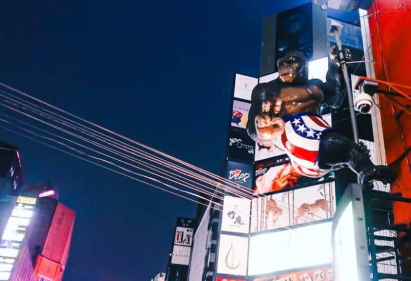 Licensed Guide Shinjuku Dramatic Tour - A Closer Look at the Shinjuku Dramatic Tour