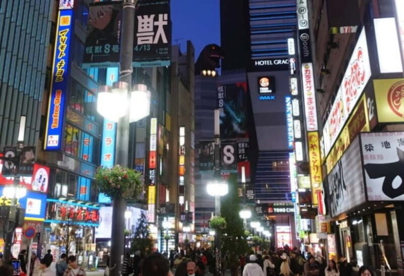 Licensed Guide Shinjuku Dramatic Tour - Breaking Down the Experience