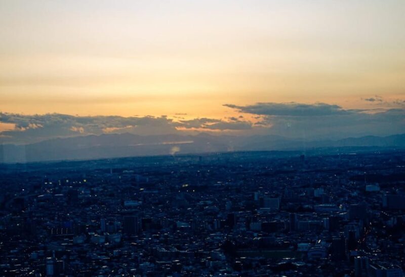 Licensed Guide Shinjuku Underground Mall Tour - The Sum Up