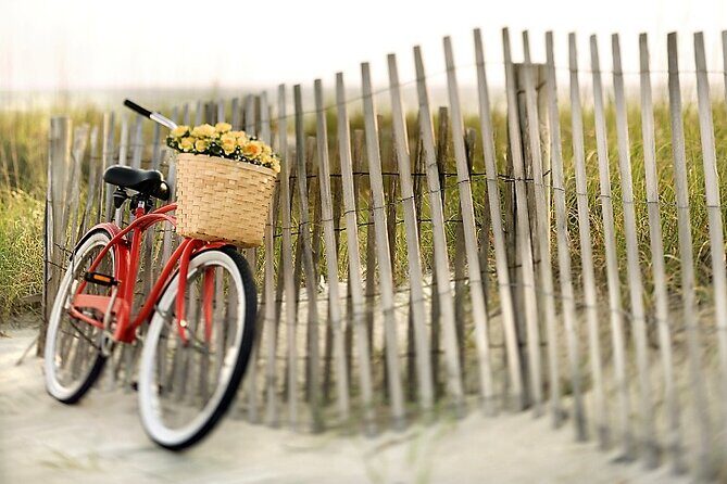 Lido Bike Tour: With a Local on the Island of Cinema - A Detailed Look at the Lido Bike Tour