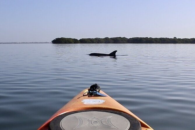 Lido Key Pedal Kayak Tour in Sarasota - FAQ