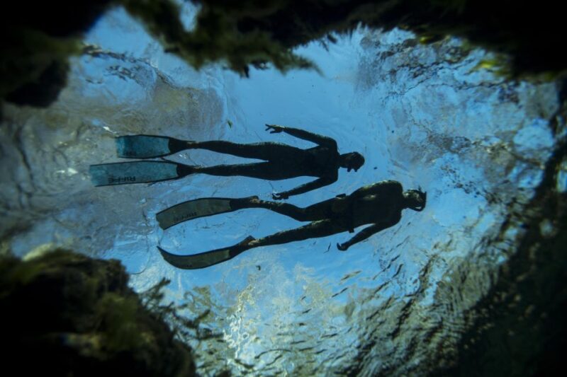 Ligaria Beach: Discover Free Diving (Apnea) - The Value of a Short Freediving Session
