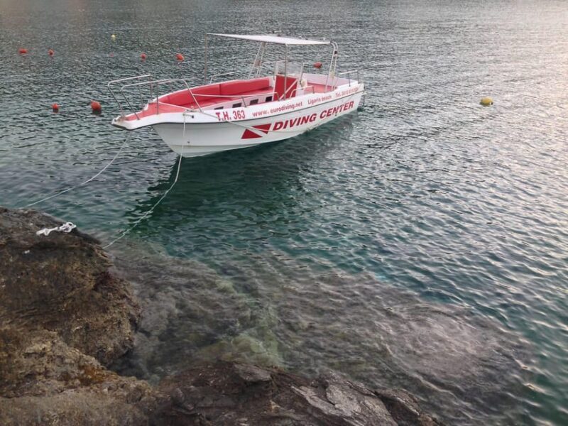 Ligaria: Snorkeling trip with Motor Boat around Agia Pelagia - The Sum Up