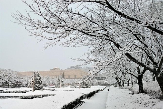 Light Museum - Who is this experience perfect for?