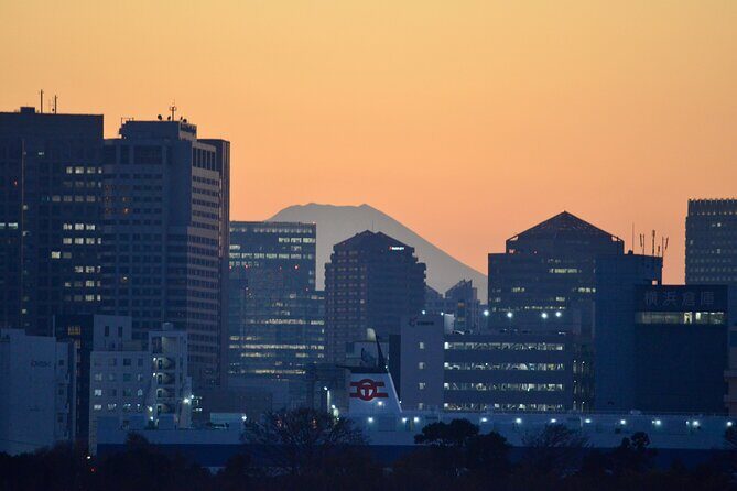 Lights of Tokyo: Tokyo Bay, Ginza and Shinbashi - Practical Details & Considerations