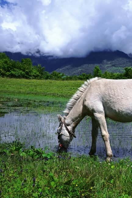 Lijiang: Yulong Snow Mountain, Blue Moon Valley & Show - Key Points