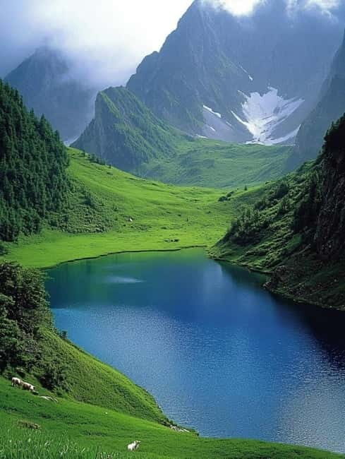 Lijiang: Yulong Snow Mountain, Blue Moon Valley & Show - Practicalities and Considerations