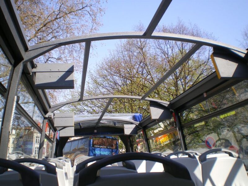 Lille City Tour - Who Should Consider This Lille Tour?