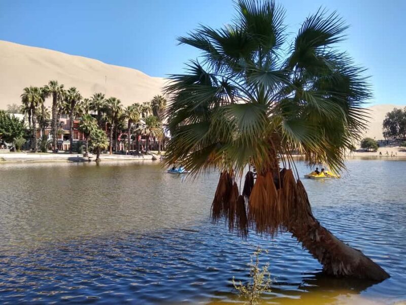 Lima: Ballestas Islands, Huacachina & Nazca Lines + Lunch - Final Thoughts