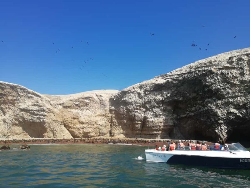 Lima: Ballestas Islands, Winery and Nazca Lines Private Tour - Key Points