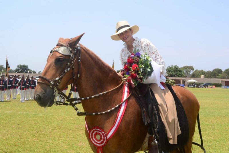 Lima: Buffet Lunch, dance show : Peruvian Paso Horses : - Possible Drawbacks & Considerations