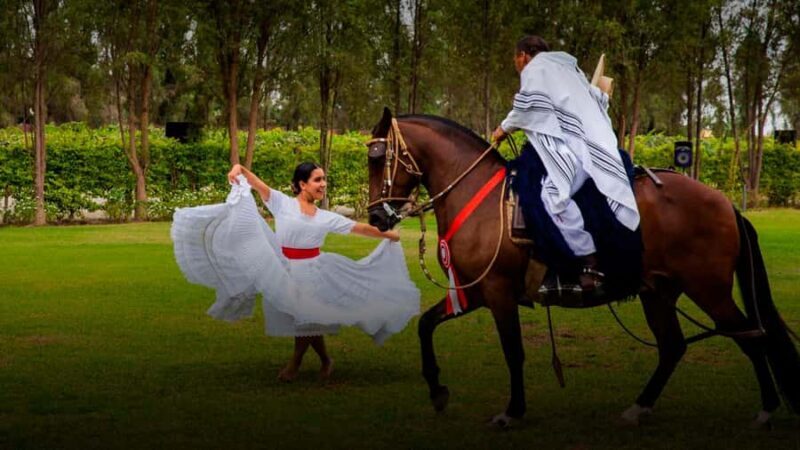Lima: Buffet Lunch, dance show : Peruvian Paso Horses : - Who Should Consider This Tour?