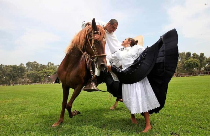 Lima: Buffet Lunch , dance show | Peruvian Paso Horses | - Key Points