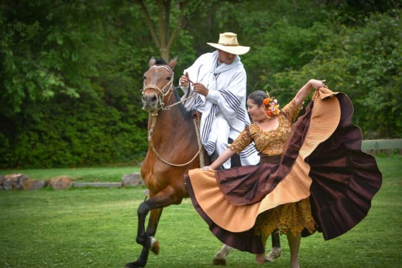 Lima: Buffet Lunch , dance show | Peruvian Paso Horses | - Pricing and Value