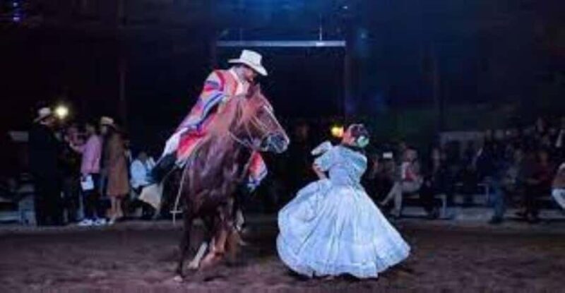 Lima: Buffet lunch, Peruvian Paso Horses dance show. - Who Is This Tour Best For?