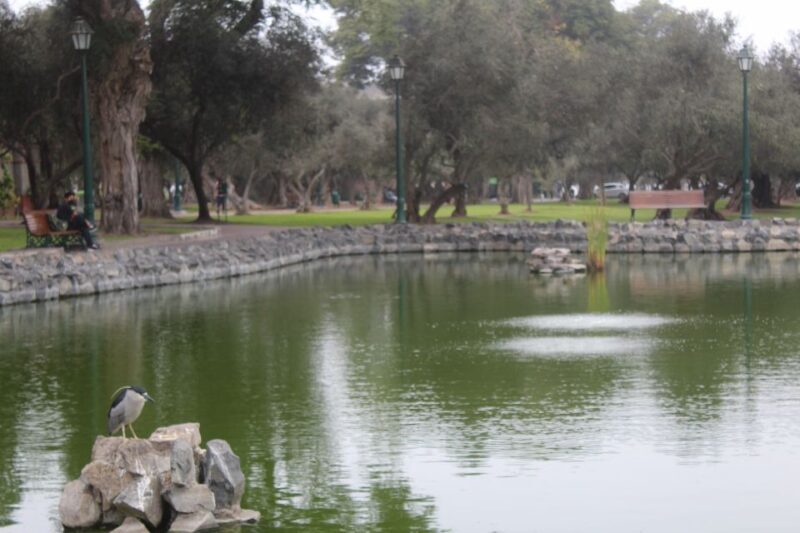 Lima: City biking - Final Thoughts