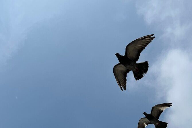 Lima City, Central Market & Catacombs Tour (Pick-up & Drop Off) - Key Points