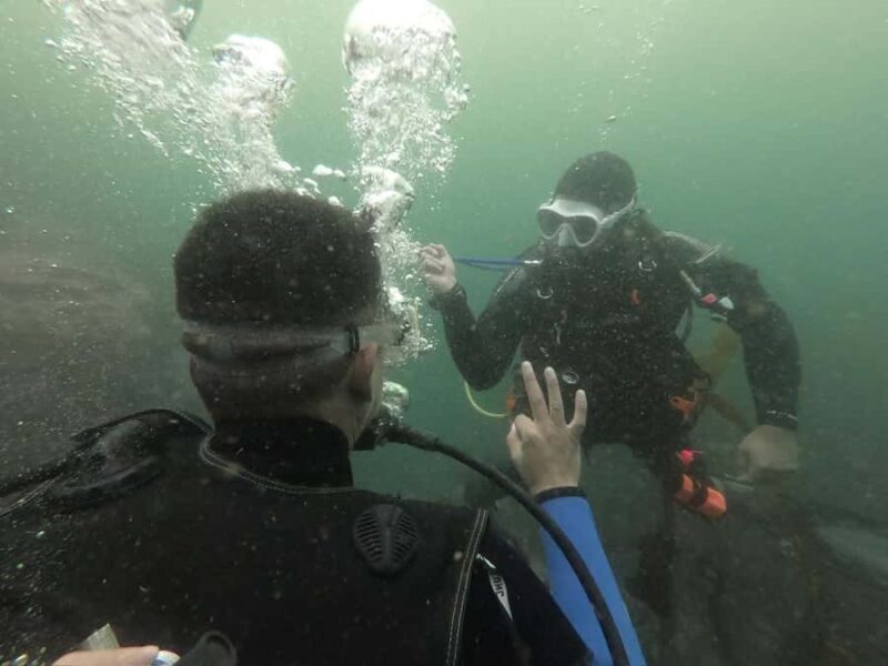 Lima: Discover Scuba Diving - First Experience - The Sum Up: Why This Tour is a Great Value