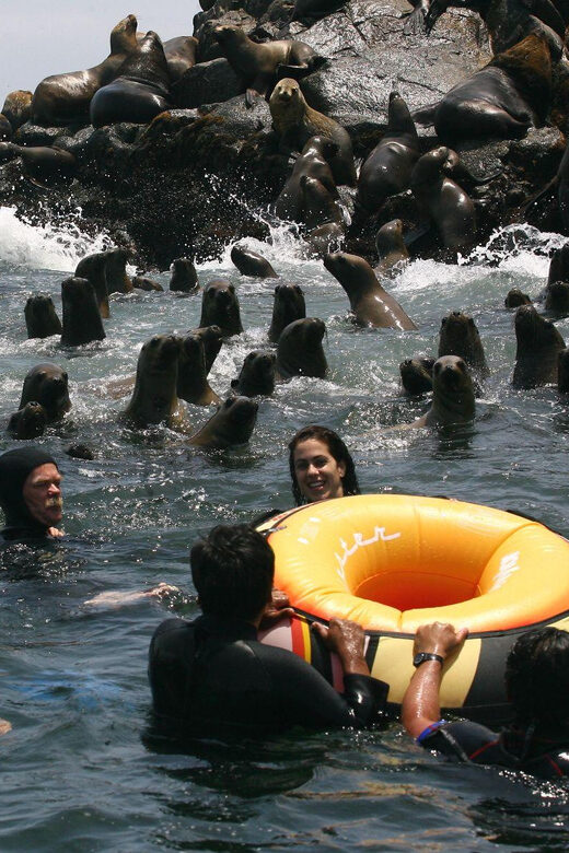 LIMA|| Enjoy an exciting excursion to the Palomino Islands - Final Thoughts