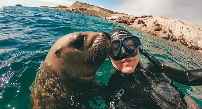 Lima: Excursion to Palomino Island | Entrance, sea lions | - FAQs