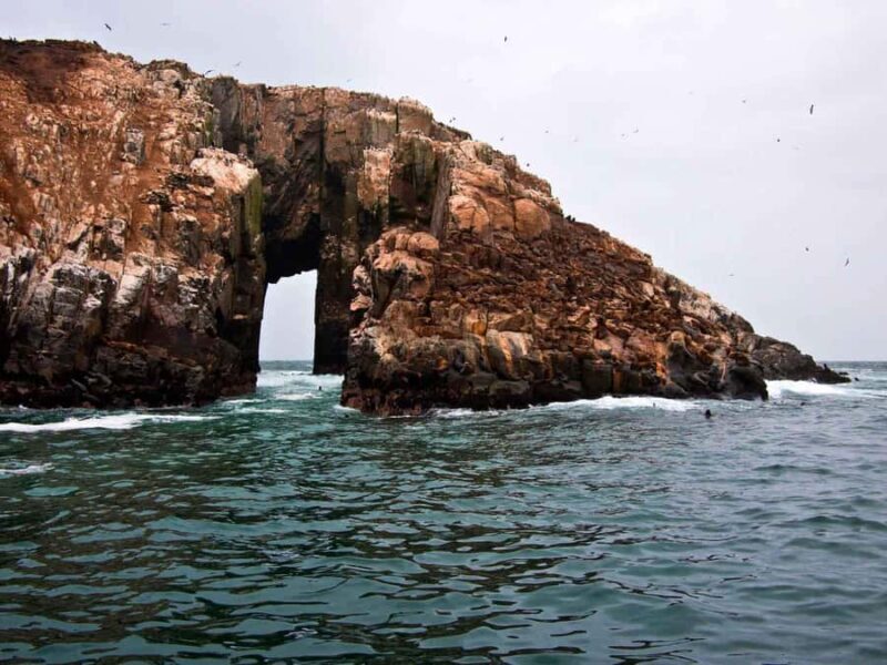 Lima: Excursion to Palomino Island | sea lions | - Who Would Love This Tour?