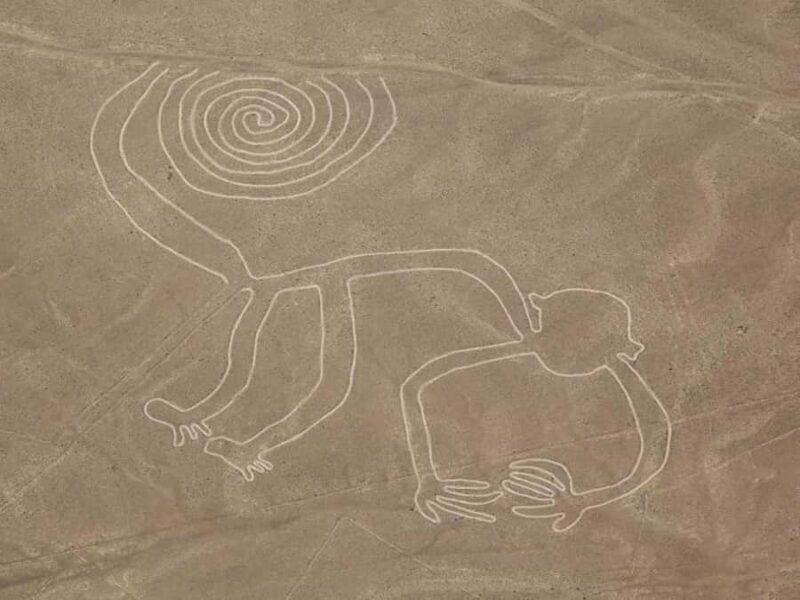 Lima: Flight over the Nazca Lines with bus transfer - Key Points