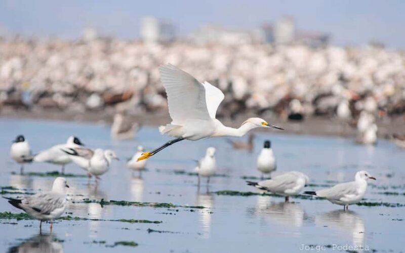 Lima: full day monumental Callao - Final Thoughts