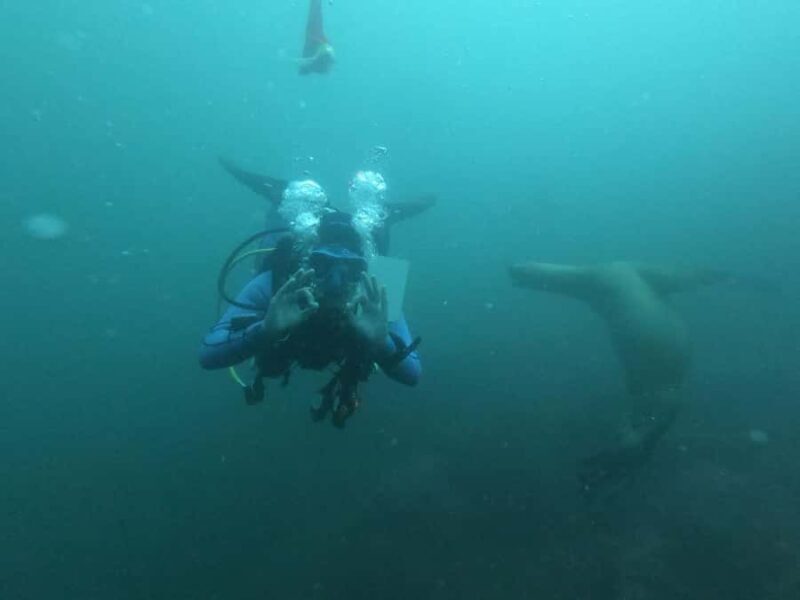 Lima: Fun Dive for Certified Divers - Lima: Fun Dive for Certified Divers