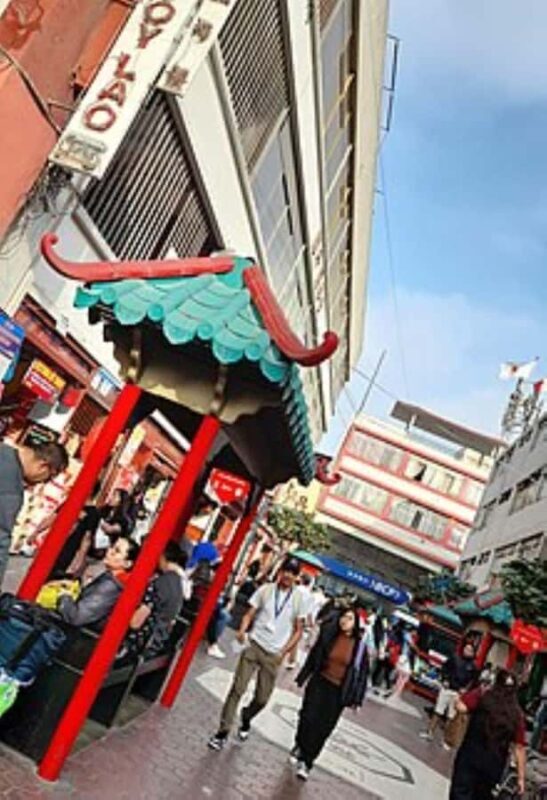 Lima in Depth: Tour of Colonial Lima and Chinatown - Who Should Consider This Tour?