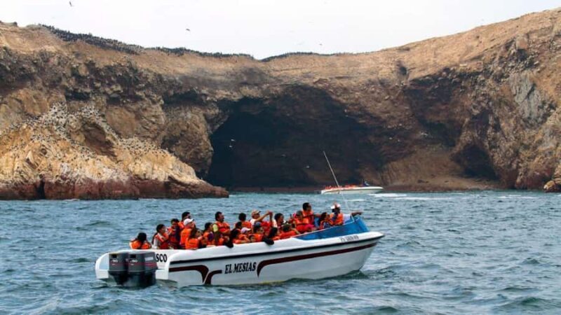 Lima : Islas Palomino - Swim with the Sea Lions - Final Thoughts: Is It Worth It?