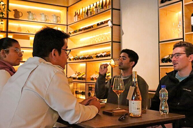 Lima: Local Wine Tour - A Closer Look at the Lima: Local Wine Tour