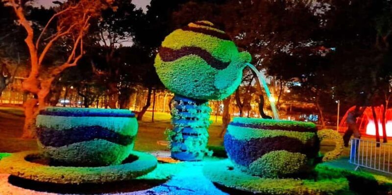 Lima: Magic Water Circuit and City Lights Night Tour - Who Should Consider This Tour?