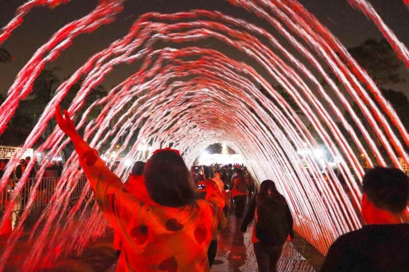 Lima: Magic Water Circuit Tour w/ Transfer & Ticket - Who Will Love This Tour?