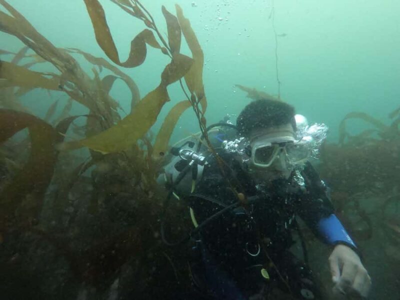 Lima: PADI Open Water Diver- Diving Course - Key Points