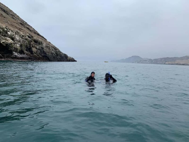 Lima: PADI Open Water Diver- Diving Course - The Sum Up: Who Is It Best For?