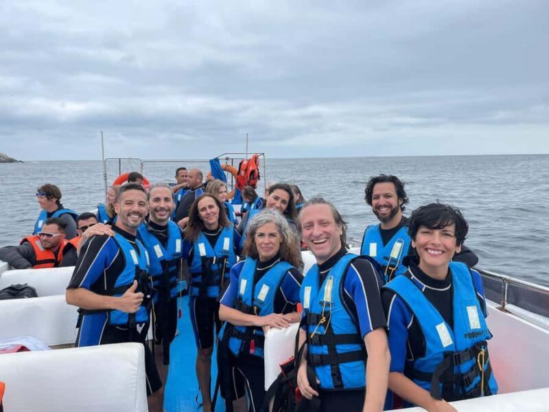 Lima: Palomino Islands Speedboat Tour & Swim with Sea Lions - Wildlife Viewing and Bird Watching