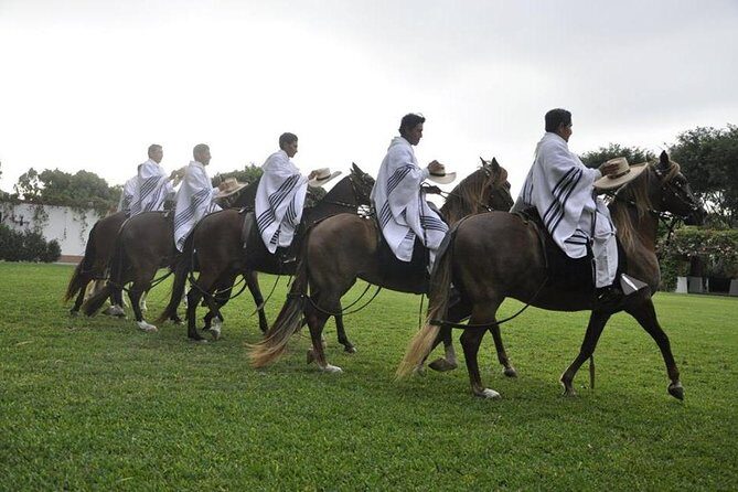 Lima: Premium Peruvian Horse Show with Lunch & Transfers - Key Points