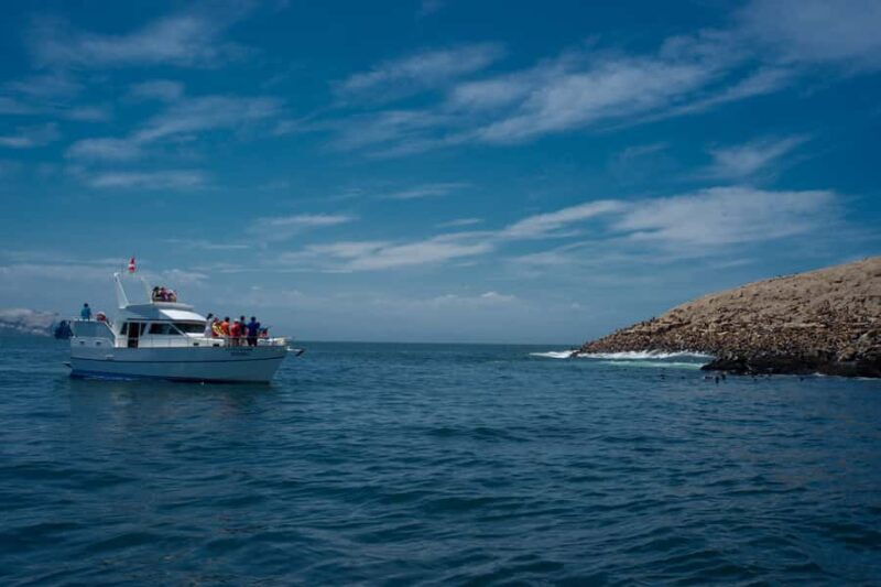 Lima: Sea Lion Swim and Wildlife Palomino Islands Cruise - Key Points
