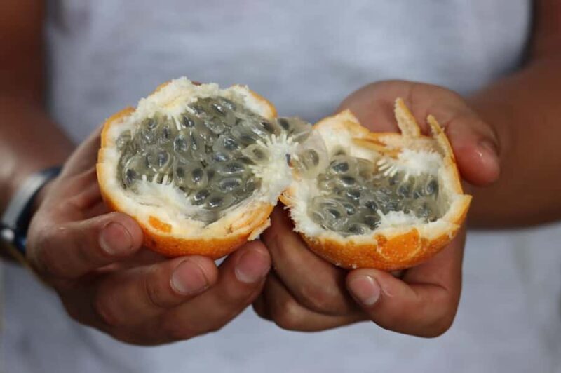 Lima: Shanty Town Exploration - Practical Details: What You Need to Know