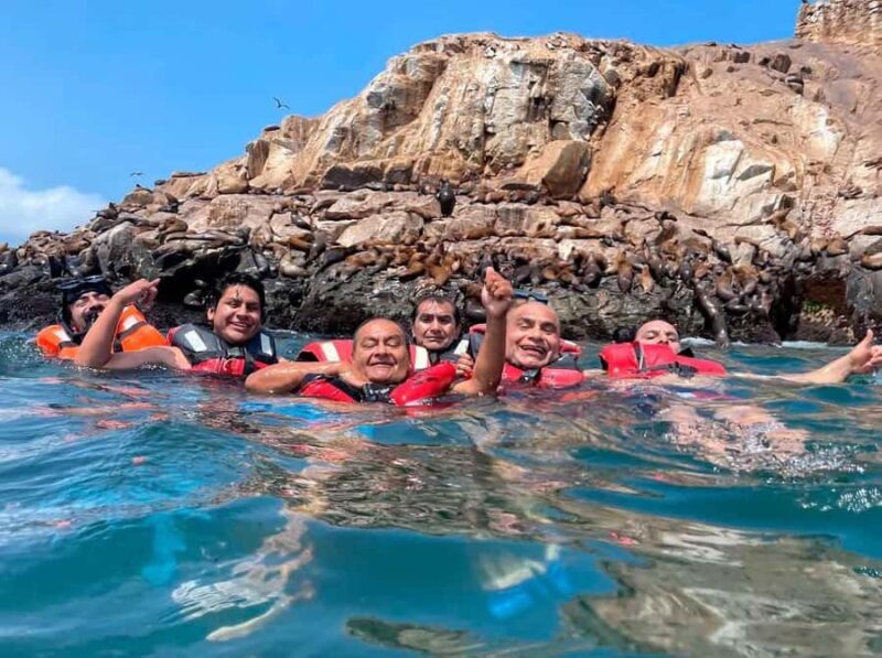 Lima: Tour to Palomino Islands and swim with sea lions - A deep dive into the Palomino Islands Experience