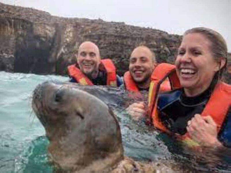 Lima: Tour to Palomino Islands and swim with sea lions - In Summary: Who Will Love This Tour?