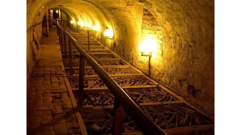 LIMA WALKING TOUR CATACOMBS FROM MIRAFLORES, HISTORICAL CENTER, WINES+BUS - What Makes This Tour Stand Out?