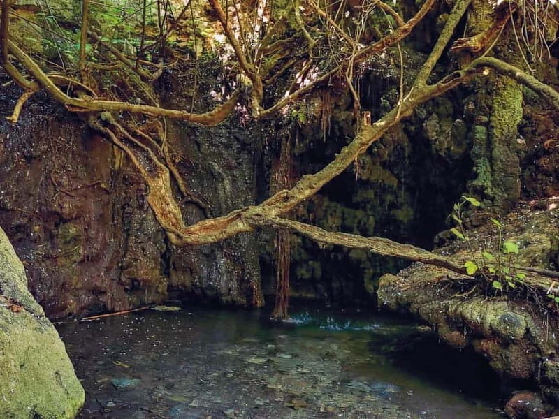 Limassol: Aphrodite Baths & Blue Lagoon Bus & Boat Day Tour - A Detailed Look at the Tour Experience